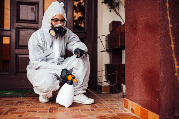 Reliable Wasp Removal contractor in Parsons, KS by Show Me Pest Control