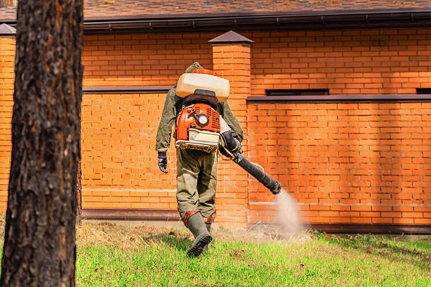 Top rated local Wasp Removal specialists in Parsons, KS